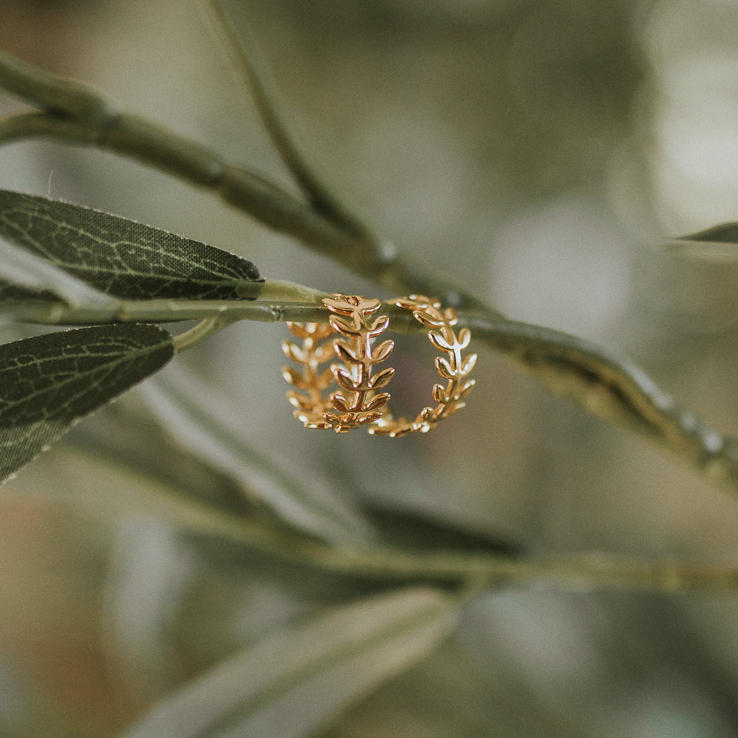 Nablus Olive Branch Huggies